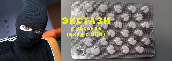 ECSTASY Бородино