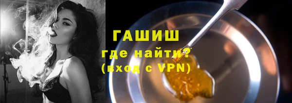 ECSTASY Бородино