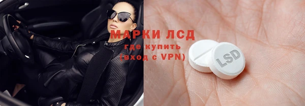 ECSTASY Бородино