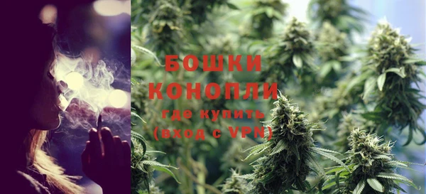 ECSTASY Бородино