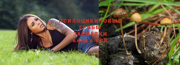 прущий лед Бронницы