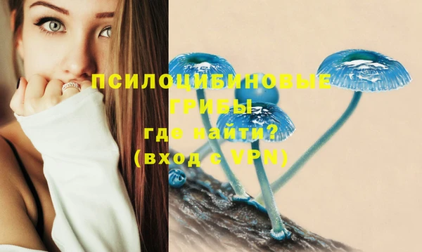 ECSTASY Бородино