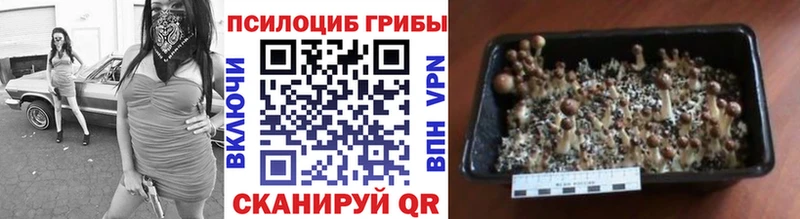 Галлюциногенные грибы мухоморы  купить  сайты  Кореновск 